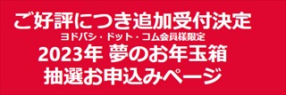 ヨドバシ2023年夢のお年玉箱-2022年12月12日-受付再開/追加販売に応募 