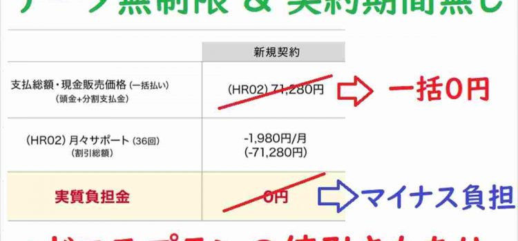 [投売り]ドコモhome5G(HR02) 一括0円+月サポ7万円引き/irumoとの組み合わせが最強-ノジマセール