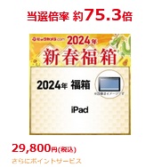 [ネタバレ追加]2024年ビックカメラ新春福箱 29,800円iPad福袋の中身情報