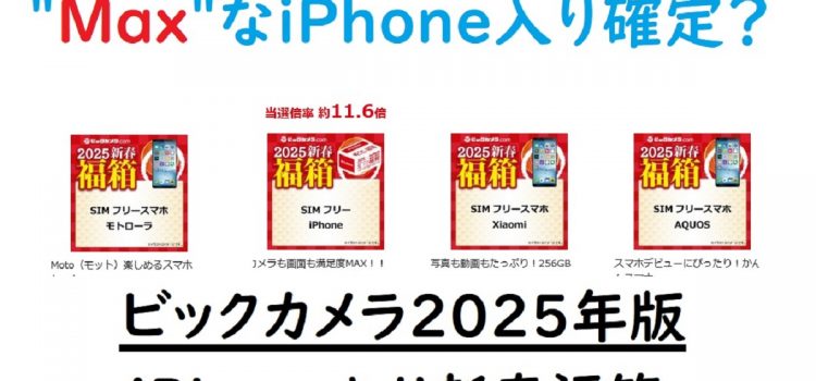 [オトク感もMAX？]2025年ビックカメラSIMフリーiPhone新春福箱中身予想-139800円福袋販売